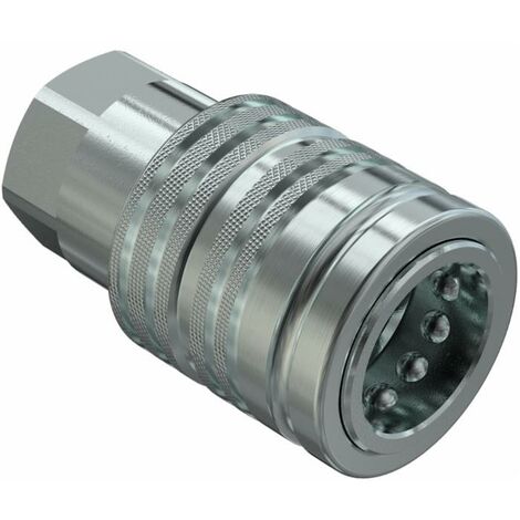 Innesto Rapido Valvola Femmina Push-Pull 1/2" NPT Faster
