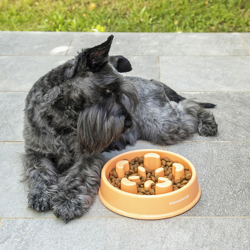 

Comedero de Alimentación Lenta para Mascotas Slowfi - Innovagoods