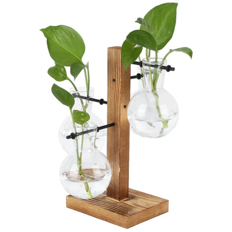 Innovative Hydrokulturvase mit Holzständer für Blumen – Transparente Dekoration für Zuhause oder Büro