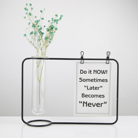 Innovatives Hydroponik-Set, transparentes Reagenzglas als Hängedekoration – Blumenständer mit Metallrahmen, Borosilikatglas 24 x 17 cm, Schwarz