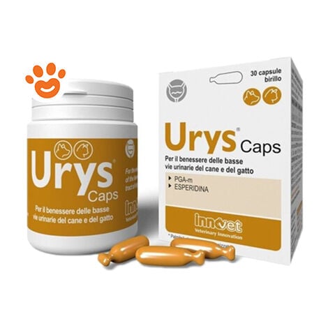 Innovet Dog & Cat Urys Caps (Ex Urys Cur)  - Innovet Dog & Cat Urys Caps (Ex Urys Cur) - Confezione da 30 Capsule