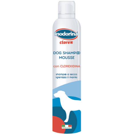 INODORINA CHAMPU EN SECO CLOREX 300 ML