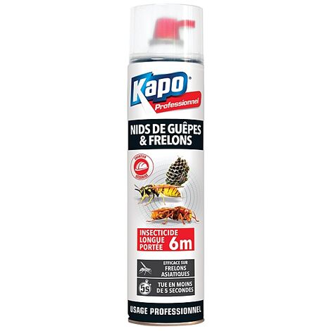 Insecticide anti guêpes et frelons réf 3190