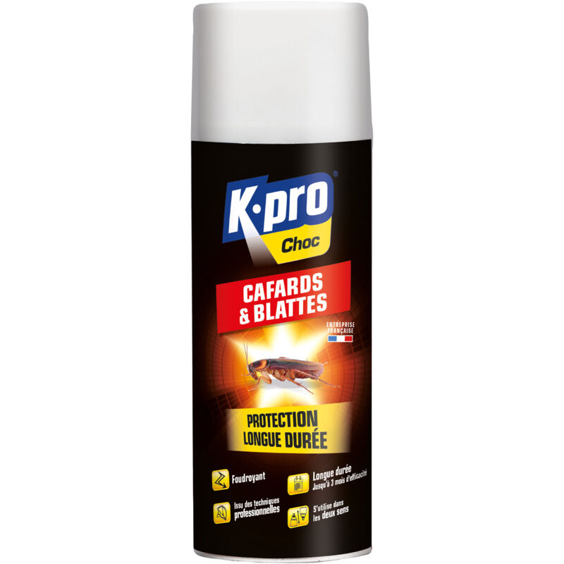 Aérosol foudroyant contre cafards et blattes 400ml kapo