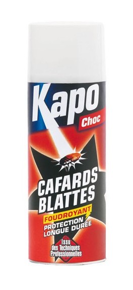 Kapo - Insecticide aérososol anti-cafards blattes - Choc - 400 mL