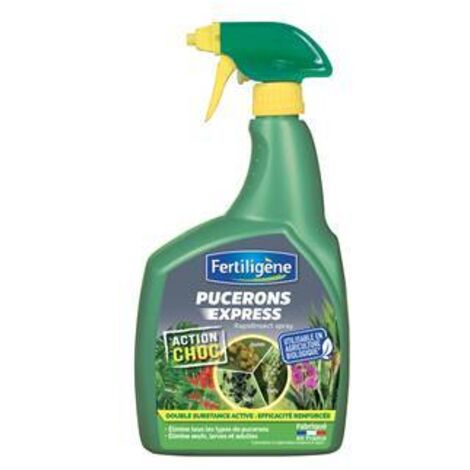 INSECTICIDE PUCERONS EXPRESS - 700 ML - Entretien