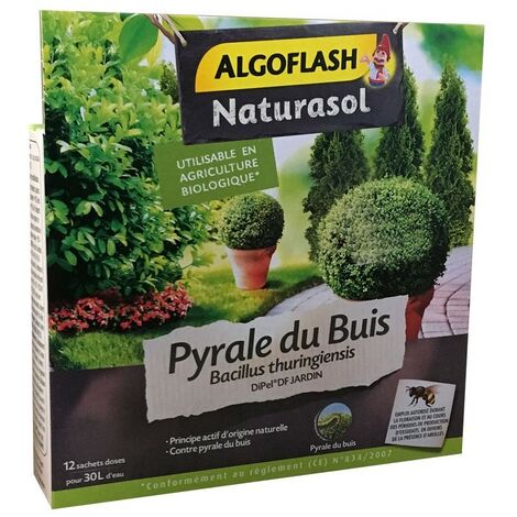 Insecticide Pyrale du buis Bacillus thuringiensis Naturasol