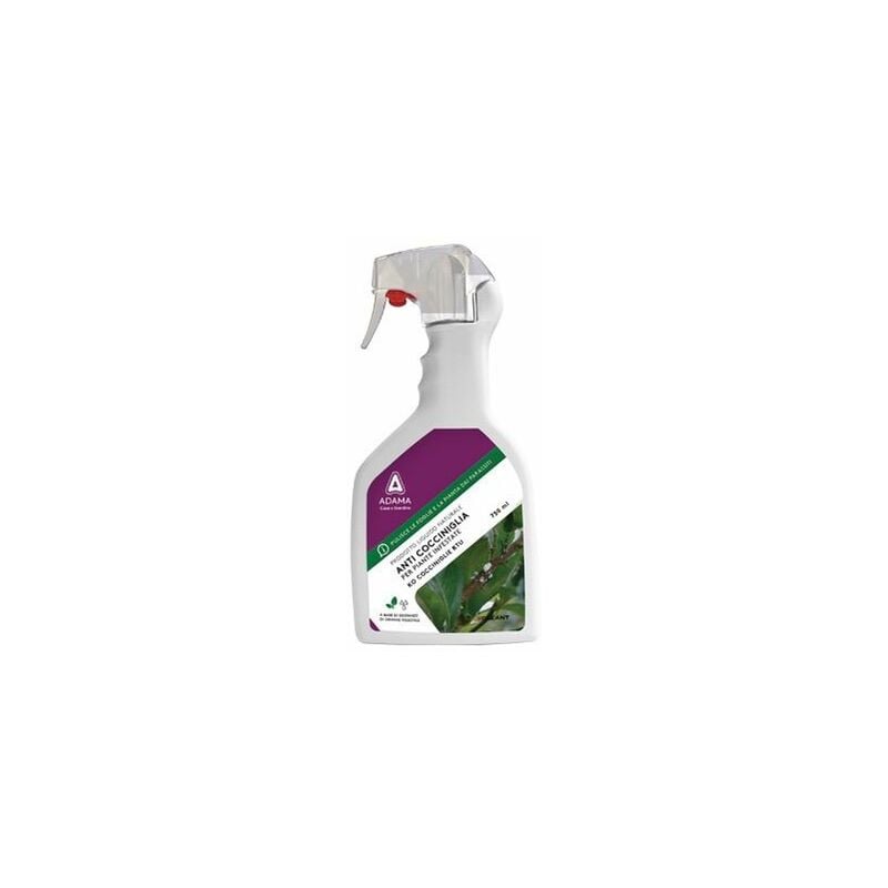 Insecticide Spray prêt pour l'usage pour coccinelle botone 750 ml kollant addama
