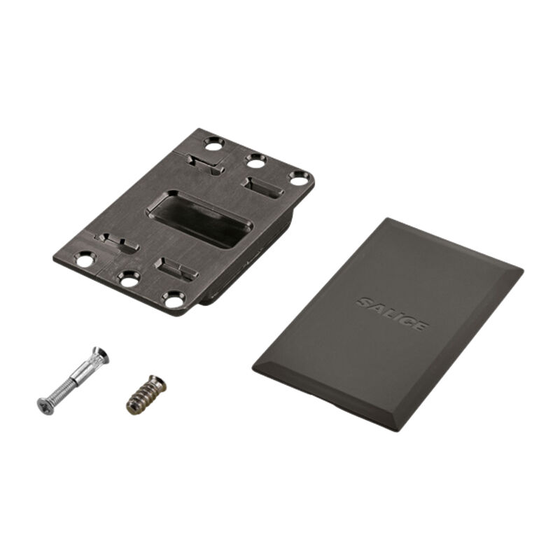 Insert conecta à visser - Décor du cache : Titane - Décor : Titane Salice