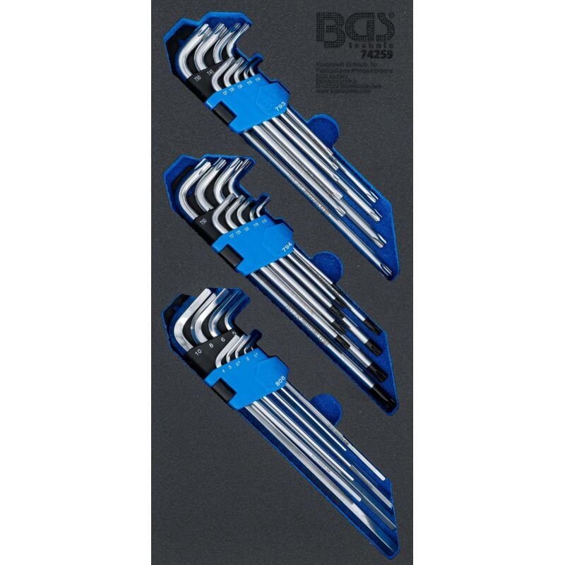 Bgs Technic - Insert de servante d'atelier 1/3 : Jeu de clés allen extra long profil t (pour Torx), profil t (pour Torx) avec perçage, six pans