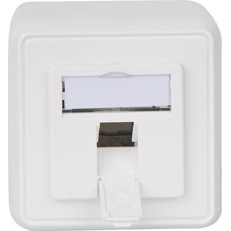 Insert moduel 80x80, 2 casiers en saille blanc alpin, 1 piece BG
