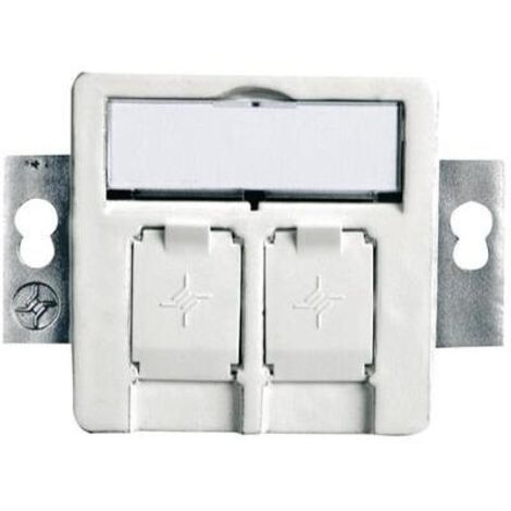 Insert module 50x50, 2 casiers encastré/50 blanc alpin, 1 piece BG