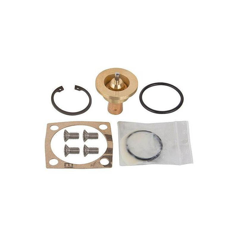 Insert thermostat 66°C convient pour Thermovar