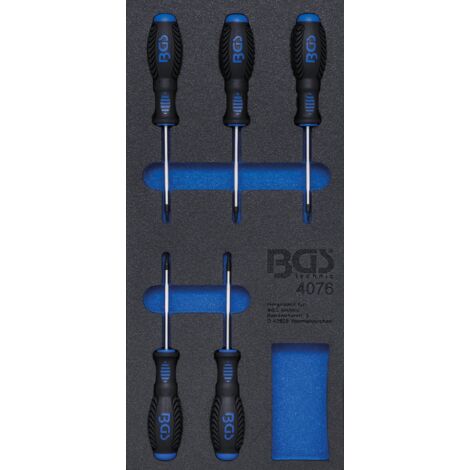 Inserto per carrello officina BGS 1/3: Cacciaviti profilo T (per Torx) 5 pz. - 4076