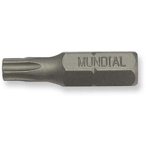 INSERTO TORX CON FORO mm.25 TX 40