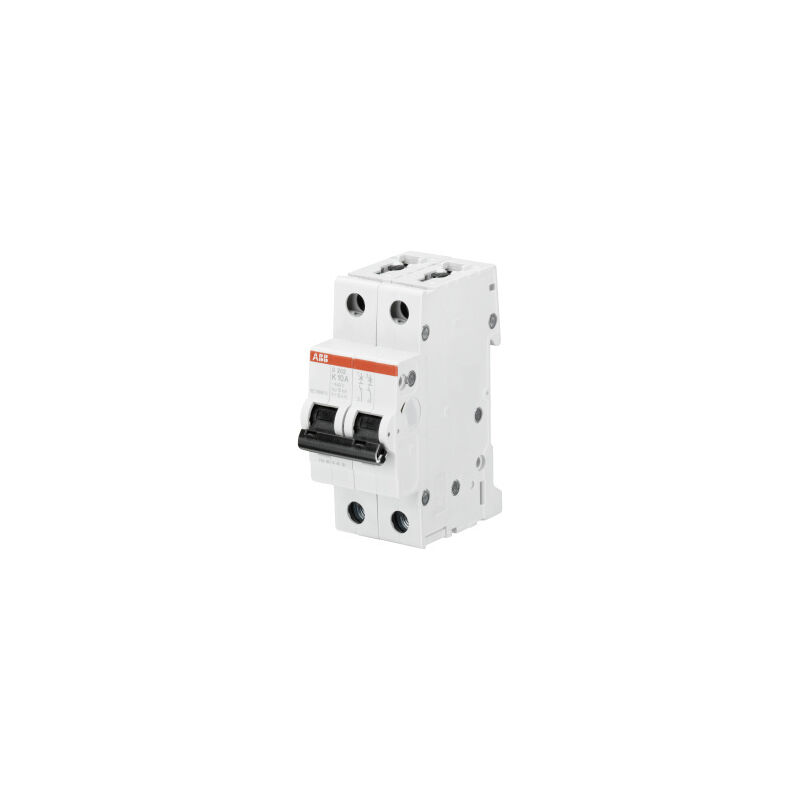 

Magnetot.S202-K1 Abb 2Cds252001R0217