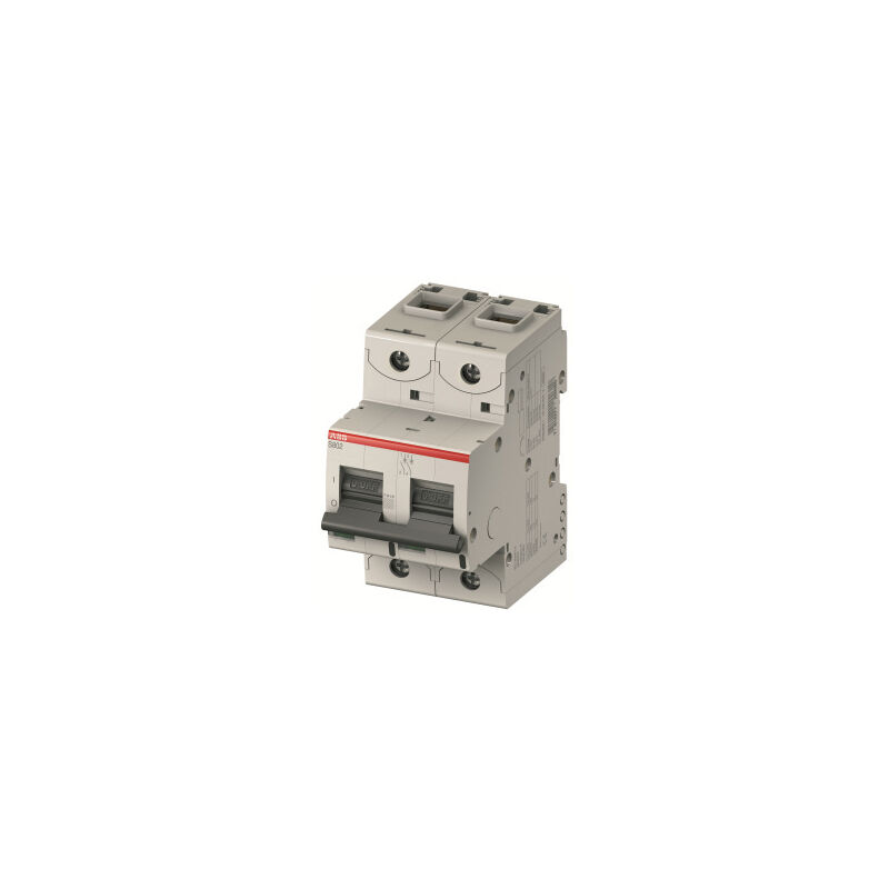 

Int.aut. S802N-C20 2p 20A C 36kA ABB 2CCS892001R0204