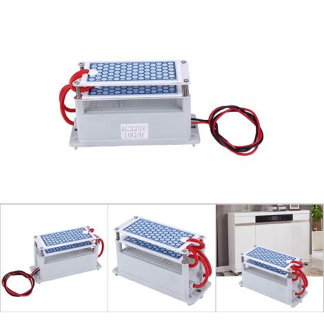Integrierter 10-g-Ozon-Generator 220 V – Luftreiniger für Zuhause beseitigt Gerüche