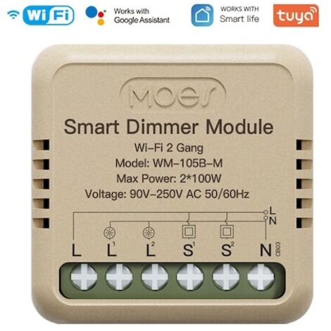 Intelligenter WLAN-Dimmer für vernetzte Haushalte, Fernsteuerung per App, Timer und Sprachsteuerung, 2-Kanal-Modul WM-105B-M
