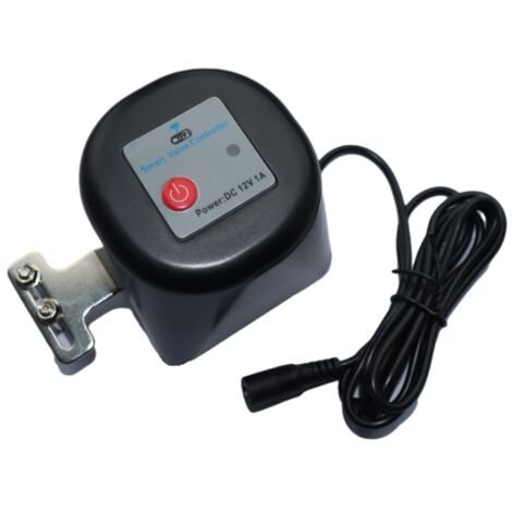 Intelligentes Magnetventil, einstellbar, WLAN, IP 44, 12 V, 1 A, Tuya-kompatibel, Schwarz