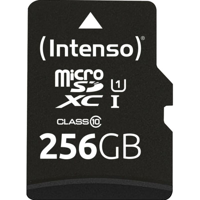 256GB microSDXC Performance Carte microSD 256 gb Class 10 uhs-i étanche - Intenso