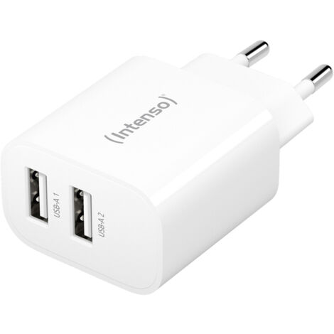 Intenso W24AA USB Ladegerät 24 W 2x USB-A  Weiß Innenbereich