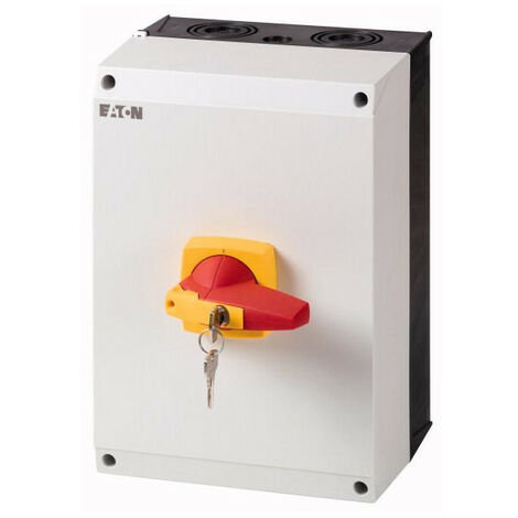 Inter. 4P monté sur coffret CI-K serrure cylindre poignée rouge/jaune 000172863 EATON DMM-125/4/I5/C-R