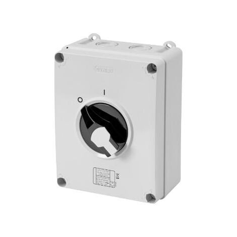 INTER-SECTIONNEUR HP PLASTIQUE 80A 3P+N COMMANDE GEWISS GW70419NP