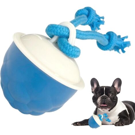 Interactive pour ChiensBalle Roulante Active pour Chiens