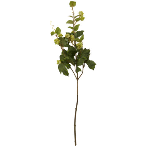 Interiors by Premier Elegant 88CM Pale Lime Hops, Versatile Artificial Flower Foliage, Sustainable And Easily Maintained Hops