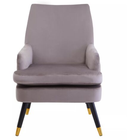 Interiors by Premier Mink Velvet Armchair, Built to Last lounge chair, Easy to Maintain Velvet Chair, Reliable Armchair