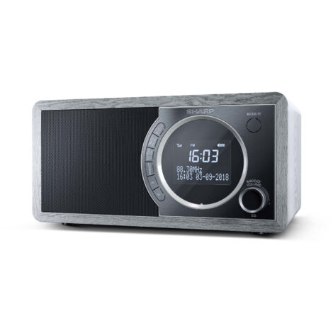 Internet-Stereo-Radio dr-450 gr grau sharp