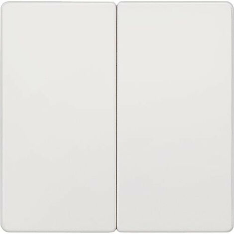 Interrupteur a bascule 2 boutons neutre Blanc electrique 55mmx55 mm type de protection IP20 1pc