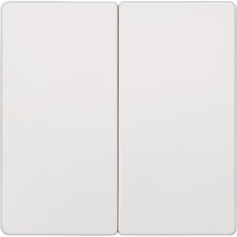Interrupteur a bascule 2 boutons neutre Blanc electrique 55mmx55 mm type de protection IP20 1pc