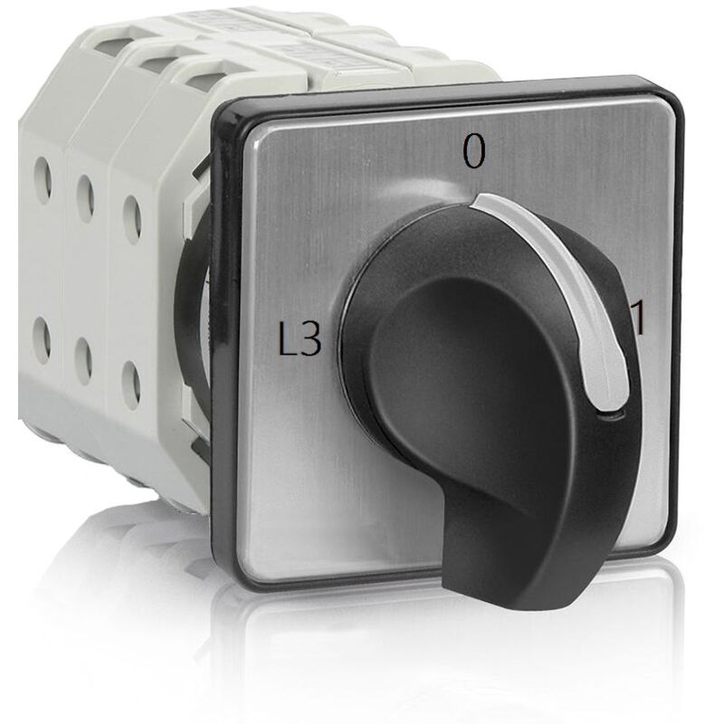 Interrupteur à came Rs Pro 4 contacts , Unipolaire, 16A ( Prix pour 1 )