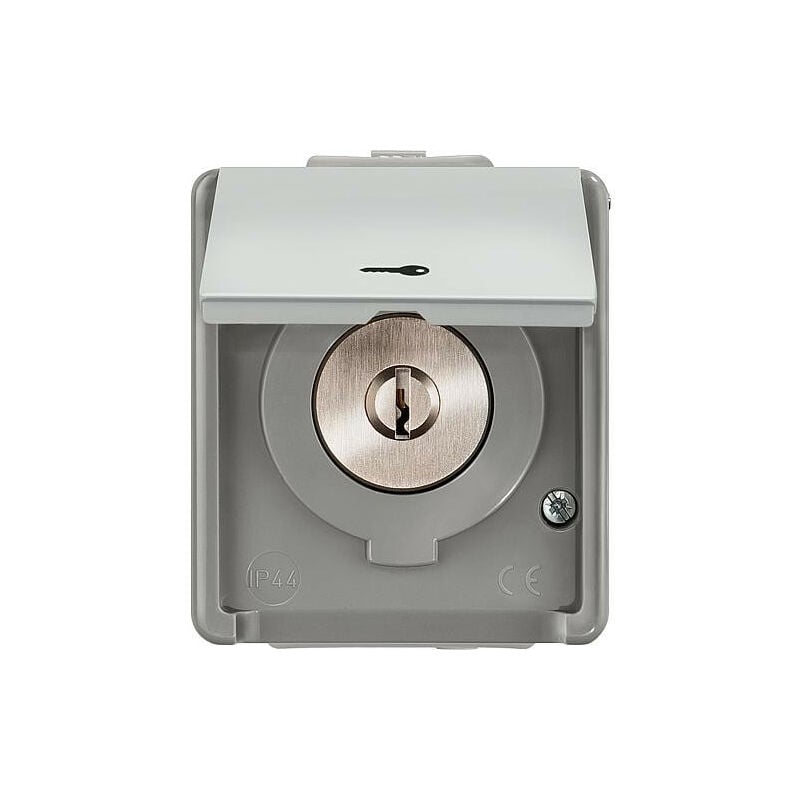 Siemens - Interrupteur a clé pour store avec symbole clé 1 pole 1 pc