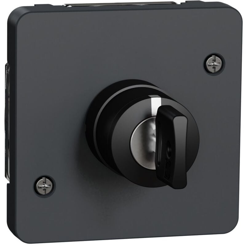 Schneider Electric - Mureva Styl - Interrupteur à clé 3 positions - composable - IP55 - IK08 - gris - MUR35061