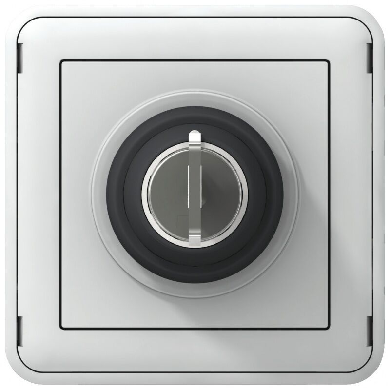 Interrupteur &Agrave; Cl&eacute; &Eacute;tanche Ronis N&deg;455 2 Positions - Gris