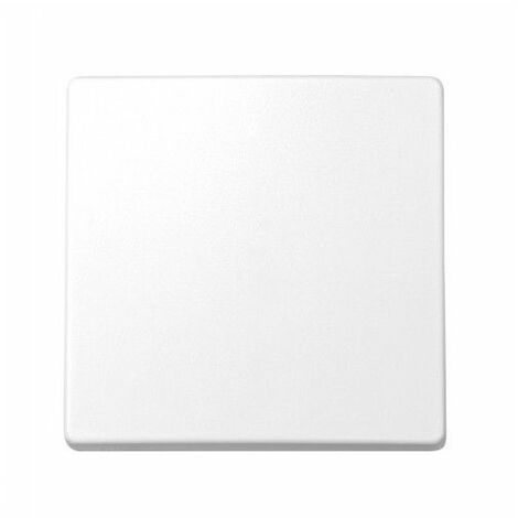 Interrupteur à clé ou croix WHITE Simon 73 Loft 73010-60