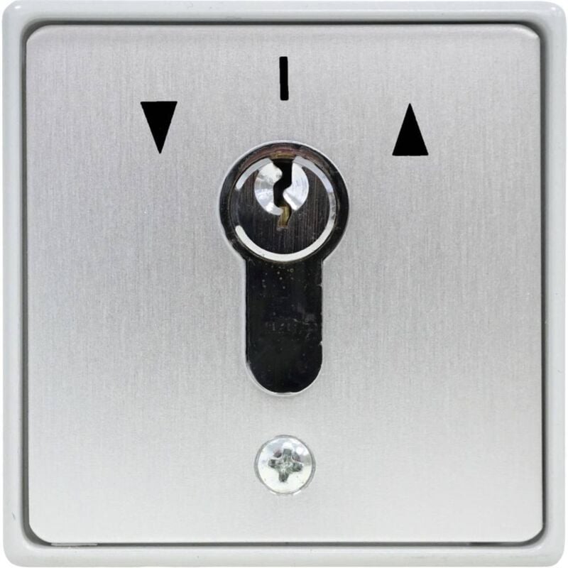 Kaiser Nienhaus 322120 Interrupteur à clé pour motorisation de portail montage apparent (en saillie)