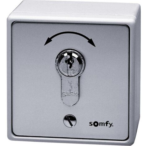 Interrupteur à clé pour motorisation de portail encastré, montage apparent (en saillie) Somfy 9000021