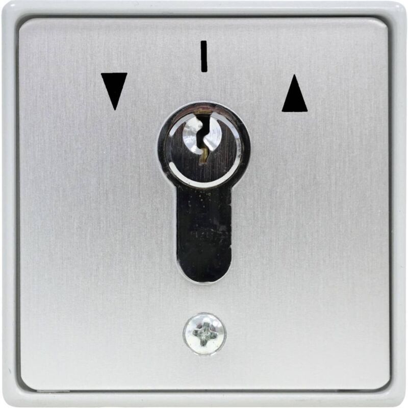 Interrupteur à Clé 2 Positions Legrand Plexo 55 - Montage Saillie Gris - Réf 69534