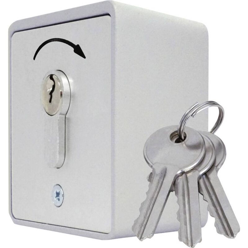 322600 Interrupteur à clé pour motorisation de portail montage apparent (en saillie) - Kaiser Nienhaus