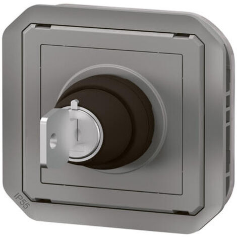 Interrupteur à clé Ronis - 2 positions - Composable - Gris - Plexo - 069534L - Legrand