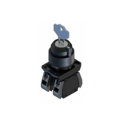 Interrupteur à clé RS PRO, 2 positions , 1 NO + 1 NF IP20, IP65 ( Prix pour 1 )