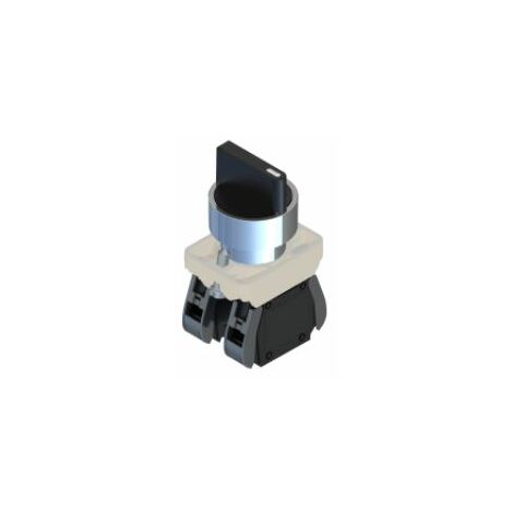 Interrupteur à clé RS PRO, 2 positions , 1 NO + 1 NF IP20, IP65 ( Prix pour 1 )