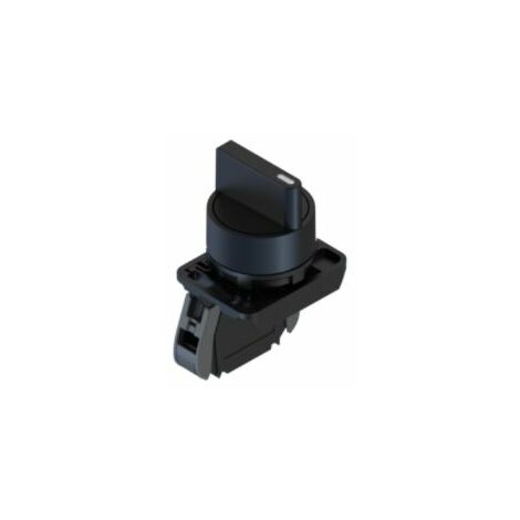 Interrupteur à clé RS PRO, 2 positions , 1 NO IP20, IP65 ( Prix pour 1 )
