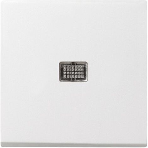Interrupteur à voyant grand voyant, System 55 blanc pur brillant