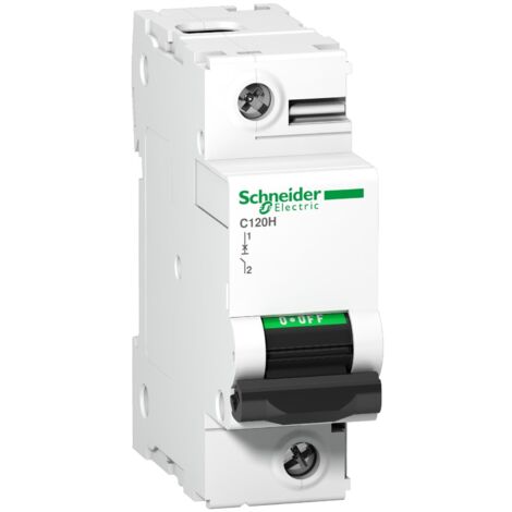 Interrupteur automatique MINIATUR SCHNEIDER 100 A 1P 380-415 V C120H