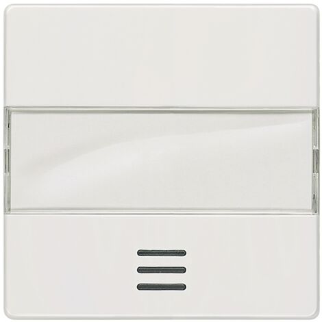 Interrupteur avec champ inscription fenetre blanc titan 55mmx 55 mm Type de protection IP20 1 pc